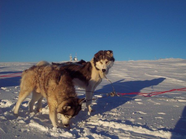 med_Schweden07.JPG (600 x 449)